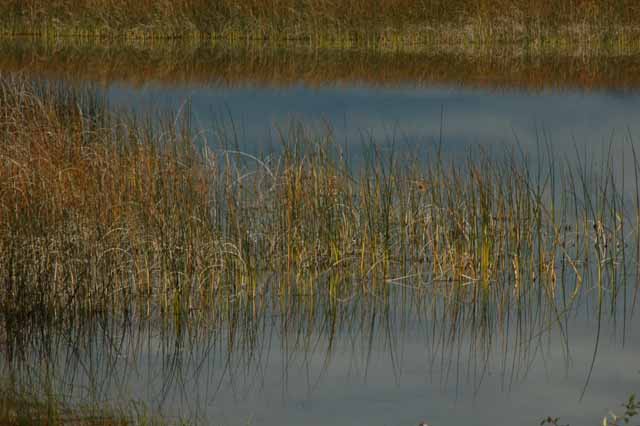 Canal Flats